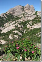 A view of the craggy rock formations from atop Montserrat. We took the funicular up to get this view.