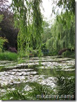 Now here's a really pretty picture of the lily pond. Someone should paint it...